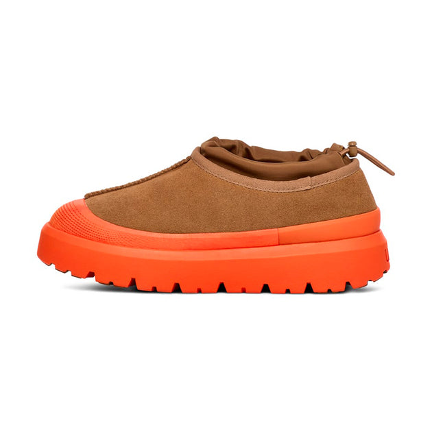mens tasman
